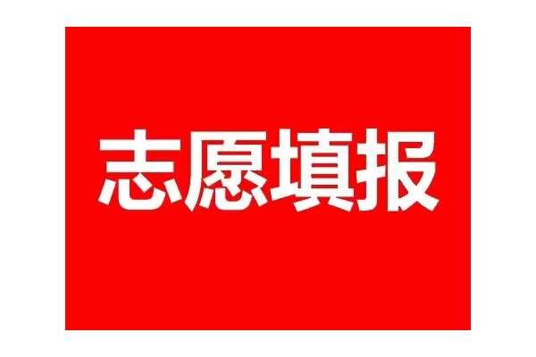 单招志愿填报
