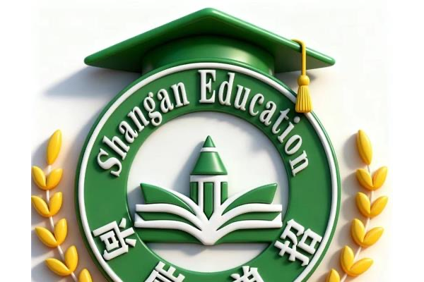 保定单招培训